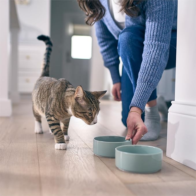 Microbiome Analysis Kit — Comprehensive for Cats and Dogs, Powered by Purina