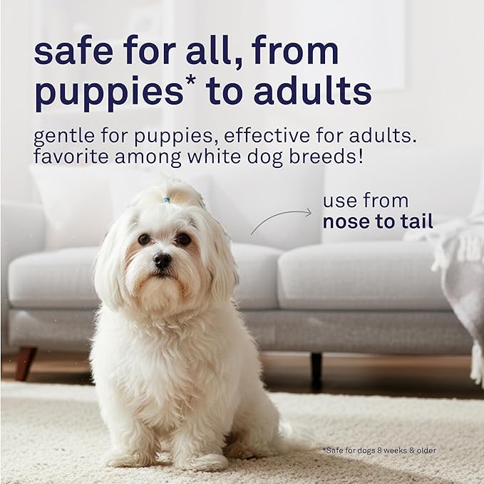 Petpost | Dog Whitening Shampoo with Coconut Oil & Aloe. Brightens White & Light Coats, Moisturizes Skin. Watermelon Scent. 16 oz