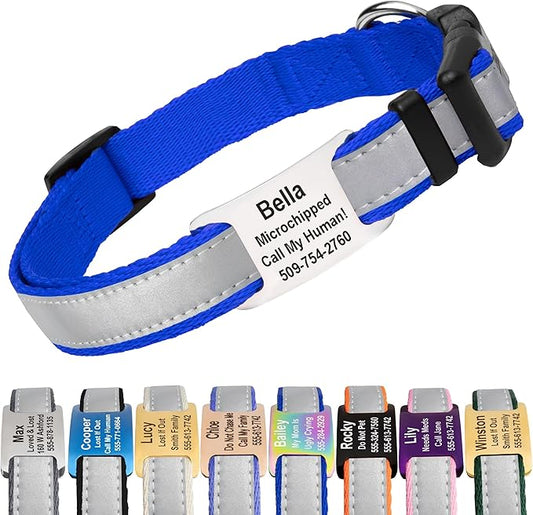GoTags Reflective Personalized Dog Collar with Nameplate, Adjustable Dog Collar with Custom Engraved Steel Slide On Pet ID Tag, Silent, No Noise Dog Tag for Large Medium or Small (Blue, Small)