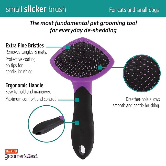 Hartz Groomer's Best Small Slicker Brush for Cats and Small Dogs,Black/Violet,(Pack of 2)