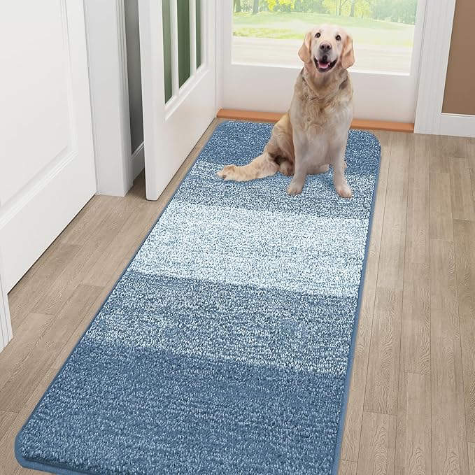 Kitinjoy Indoor Outdoor Door Mat, 48x30 Non-Slip Absorbent Dirt Trapper, Low-Profile Washable Inside Entrance Front Floor Mat, Sturdy Soft Entry Doormats for Entryway, Light Blue