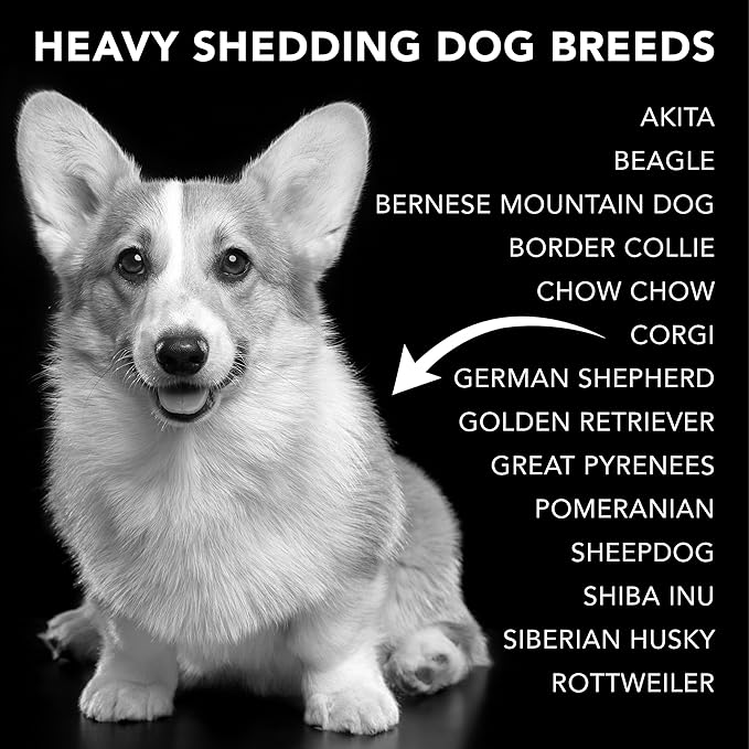 Pride and Groom The Shedder | Dog Deshedding Shampoo | All Natural Body Wash with Essential Oils & Ingredients That Reduce Pet Shedding & Fur Dander for Curly and Wavy Coats – 16oz