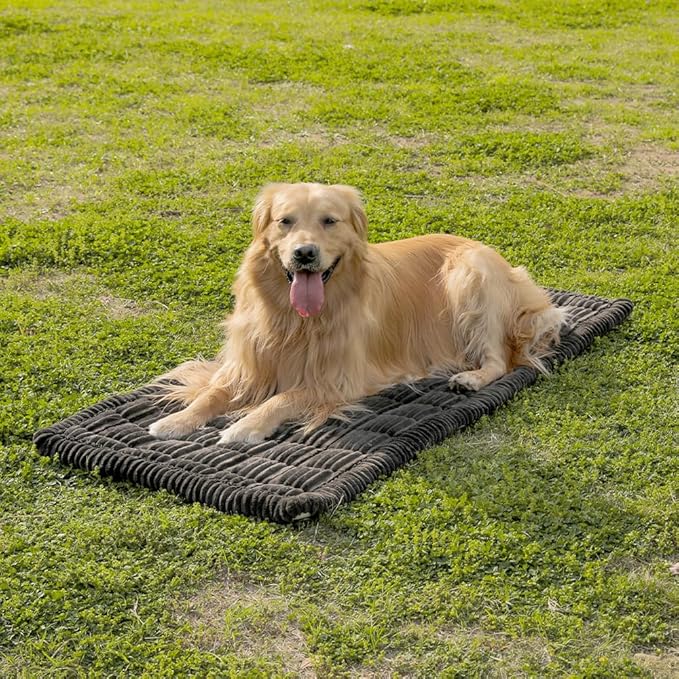 Dog Car Seat Cover for Back Seat, Dog Bed for Car, Fit for Backseat Extenders, Car Seat Protector, Nonslip Soft Durable for Cars Trucks and SUVs (Black, 24.8" x 54")