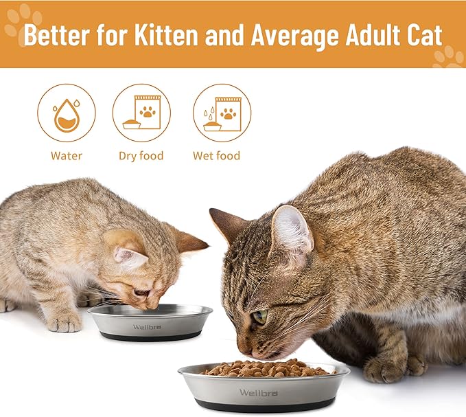Wellbro Cat Bowls, 6 Pcs Stainless Steel Bowls for Food and Water, Whisker Fatigue Shallow Non-Slip Cat Dishes Plates for Small Dog Puppies Cats