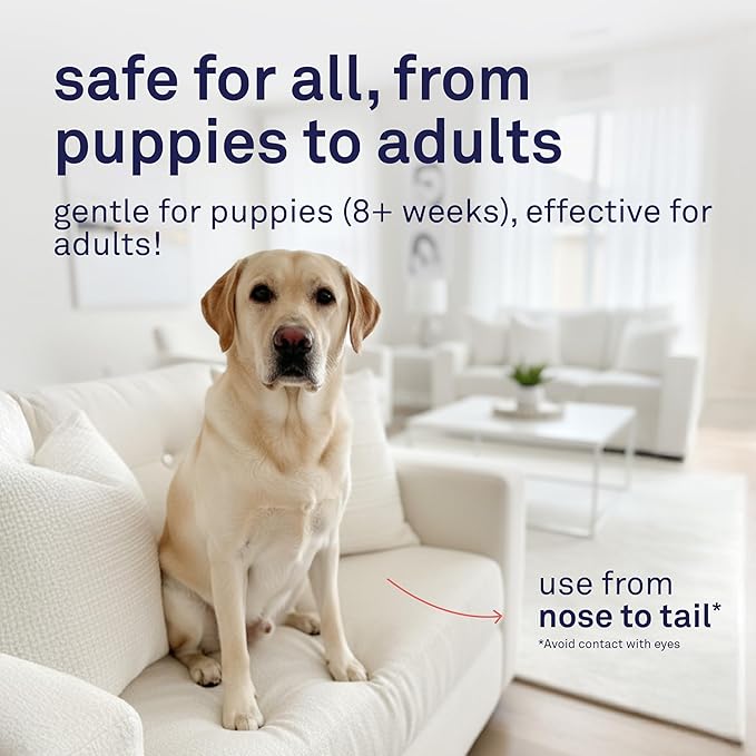 Petpost | Argan Shampoo for Dogs. Dog Shampoo with Argan Oil & Aloe. Moisturizes Dry Skin, Softens Coat, Restores Shine. 16 oz