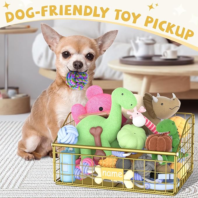 Indestructible Dog Toy basket, Small Toy Box for Dogs, Pet Toy Bin Dog Metal Basket for Toys, Toy Storage Organizer, Cat Toy Box for Living Room Area(Gold)