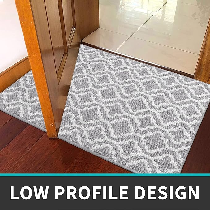 HEBE Indoor Door Mat 32"x48" Non Slip Front Door Welcome Mats Washable Shoe Mats Dirt Trapper for Entryway Low Profile Kitchen Carpet for Entrance Hallways Entrance Mat for Dogs