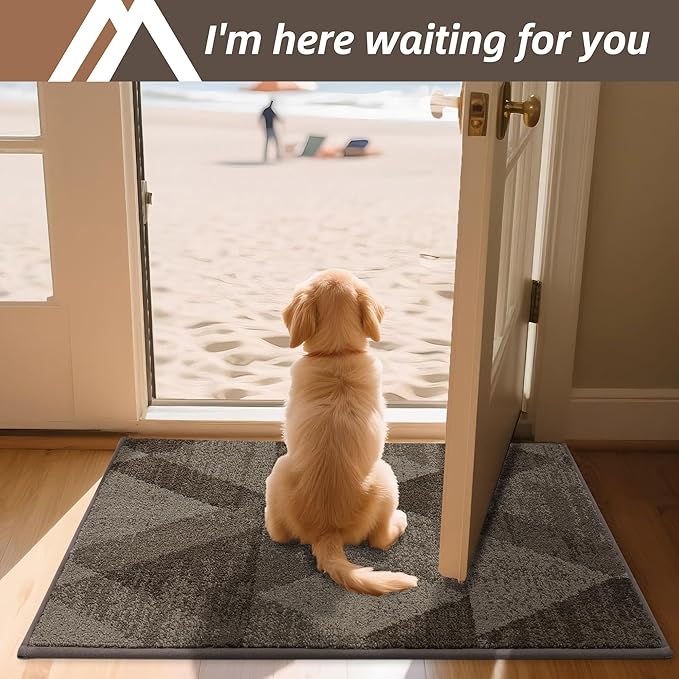 COSY HOMEER Entryway Rugs Doormat 24"x36", Non-Slip Absorbent Polyester, Washable Rugs for Front Door, Dirty Paws & High Traffic Areas, Brown