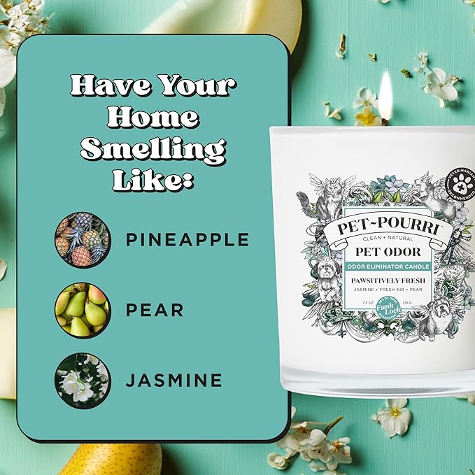 Pet-Pourri Pawsitively Fresh Pet Odor Deodorizer Candle, Burns Up to 45 Hours, Aromatherapy & Air Freshener with Essential Oils, Plant Based Ingredients & Wax, Vet Approved, Jasmine Pear Scent