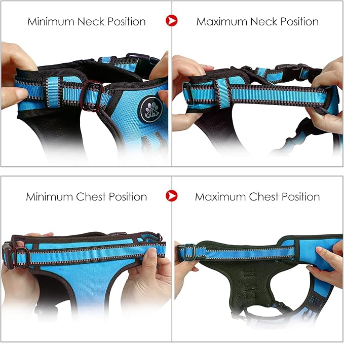 NESTROAD No Pull Dog Vest Harness with Leash, Adjustable Reflective Oxford Pet Harness with Easy Control Handle for Small Dogs, Blue