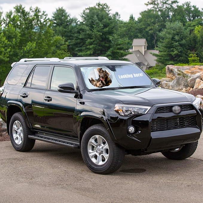 Custom Car Windshield Sun Shade, Personalized Foldable Front Window Sun Visor Protector Shield with Your Customized Photo Text Logo Design, Fits Most Sedans, SUVs, Vans, MPV, Trucks (Large)