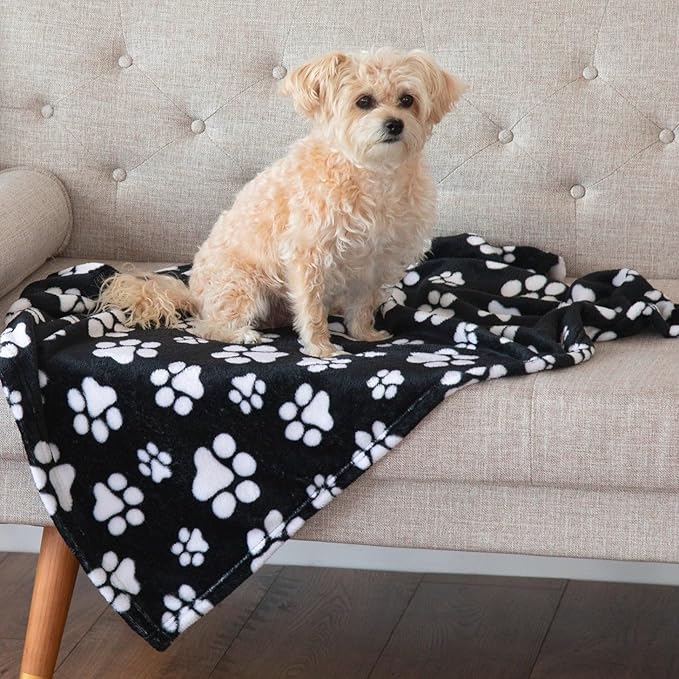 Pet Dog Cat Blanket Ultra Soft Cozy Fleece Paw Print Design Machine Washable Durable for Crates Beds Sofas Travel (Decadent Paws, Large)