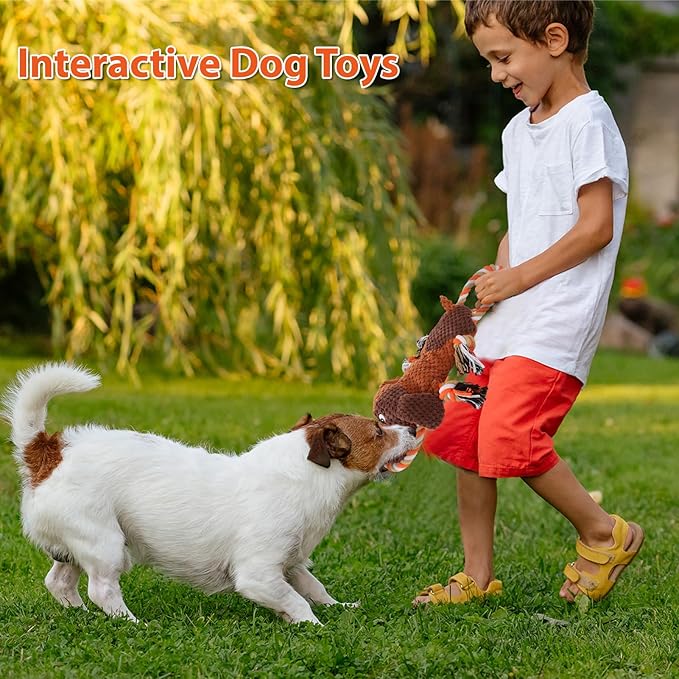 Plush Dog Toys with Rope, Squeaker & Crinkle Paper – Interactive Squeaky Chew Toy for Large Dogs & Puppies – Tough Pet Toy for Tug of War, Fetch & Dental Exercise
