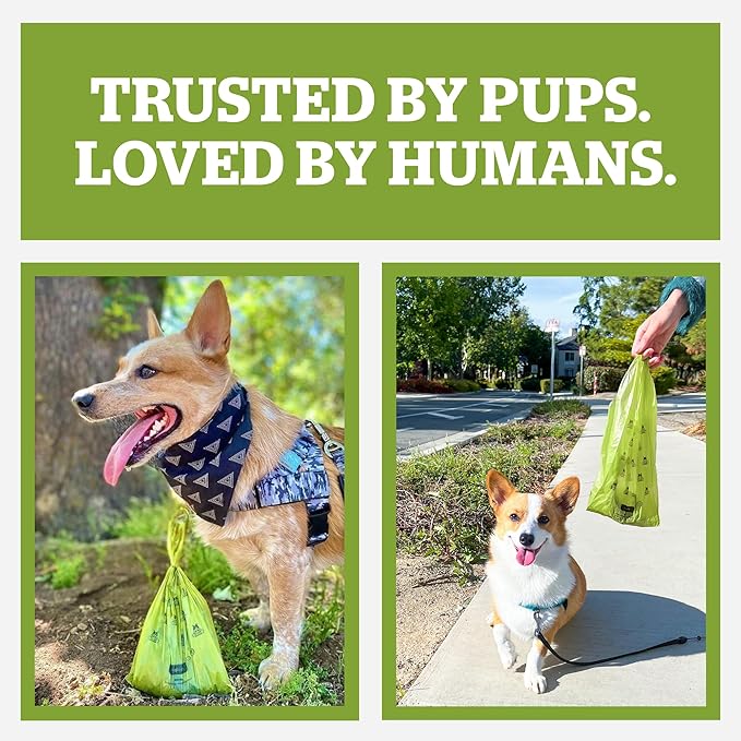 Pogi’s Dog Poop Bags – Leak-Proof & Extra Thick Pet Waste Bags with 2 Holders (Unscented, 50 Rolls, 750-Count)