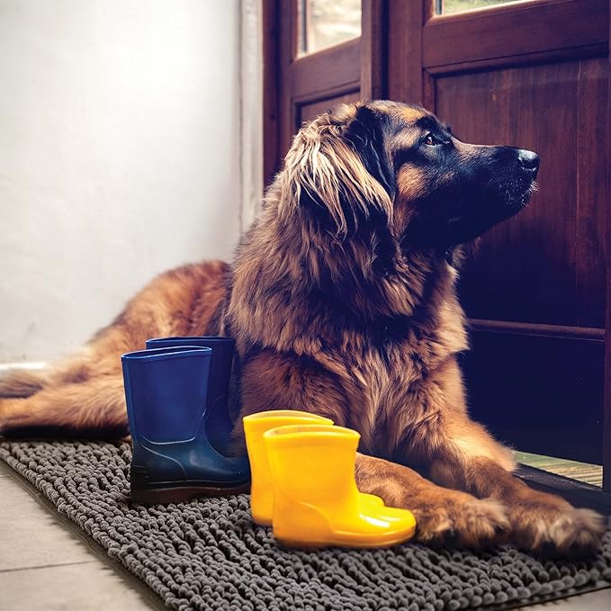 DogBuddy Dog Door Mat for Muddy Paws, Absorbent Microfiber Pet Rug, Waterproof Non-Slip Doormat, Washable Rugs for Dogs, Entryway Indoor Outdoor Mat, Dog Supplies (Medium, Shadow)