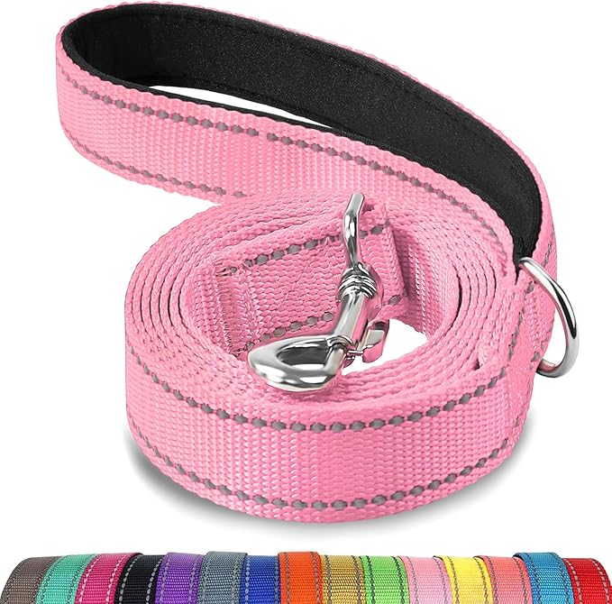 Joytale Dog Leash, 5 FT Double-Sided Reflective, Padded Handle Nylon Heavy Duty Leashes for Medium & Large Dogs Walking, Pink