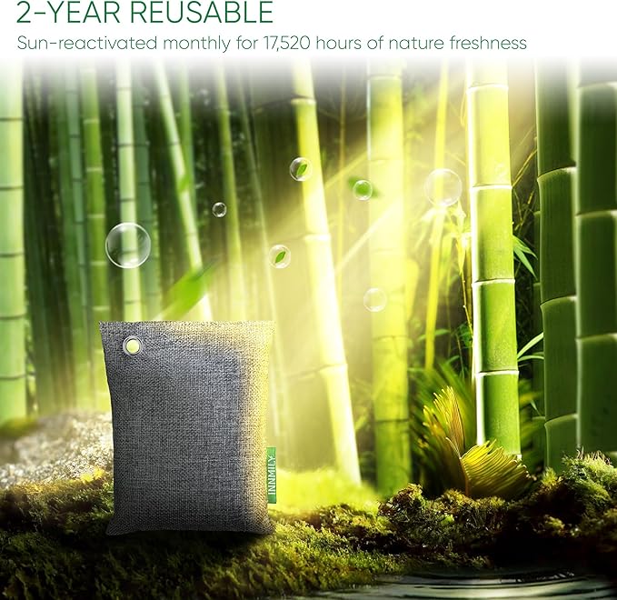 Activated Charcoal Odor Absorber,Large 4x200g w Hooks Nature Odor Eliminator for Strong Odor,Bamboo Charcoal Air Purifying Bags,Moisture Absorbers for Fresh Home Car Closet Pet,Smoke Smell Deodorizer