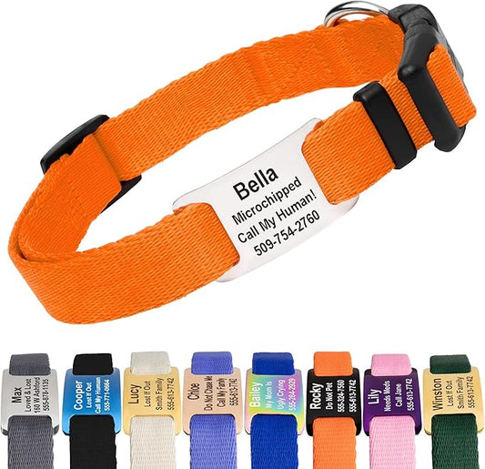 GoTags Personalized Dog Collar with Nameplate, Adjustable Dog Collar with Custom Engraved Slide On Pet ID Tag in Stainless Steel, Silent, No Noise Dog Tag for Large Medium and Small (Orange, Small)