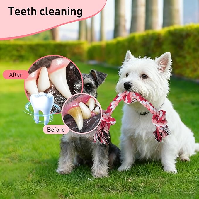 SZEE Dog Rope Toy 2 Pack, Rope Toys for Dogs, Chew Ropes for Small Breeds Puppies, Pull Toy for Tug of War, Energy Release, Boredom Relief and Teeth Cleaning, 3 Knots 14 inches (Pink & Orange)