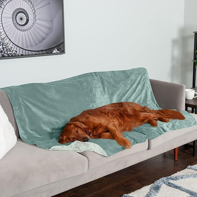 Furhaven Waterproof Throw Blanket for Dogs & Indoor Cats, Washable - Two-Tone Luxe Velvet Dog Blanket - Celadon Green, Extra Large/XL