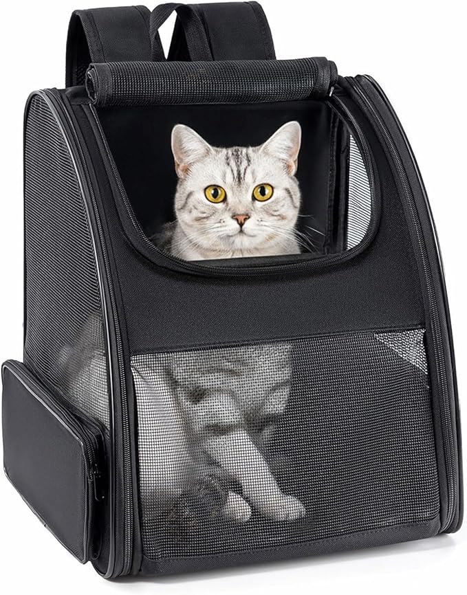 Conlun Cat Backpack Carrier for Small Dogs and Cats Fit Up to 15 Lbs,Small Dog Backpack, Foldable with 3-Side Mesh Windows, Pet Carrier for Travel & Hiking Friendly，Black