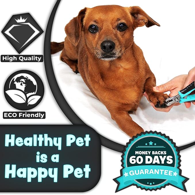 H&H Pets Nail Clippers Series - for Cats and Dogs - Razor Sharp Blades Sturdy Non Slip Handles - Dog Accessories Professional at Home Grooming - Stainless Steel - Dog Nail Trimmers - M (Sm-M Dogs)