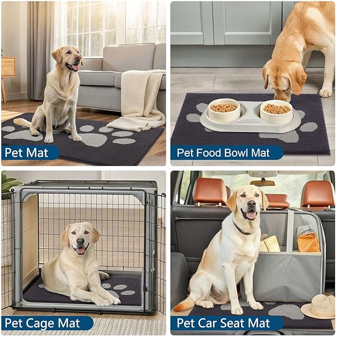 Buganda Dog Door Mat for Muddy Paws, Absorbent Dirt Trapper Washable Indoor Doormats, Non Slip Low-Profile Mud Mat for Dogs, Front Entrance Doormat for Inside Floor (36x24 Inches, Dark Grey)