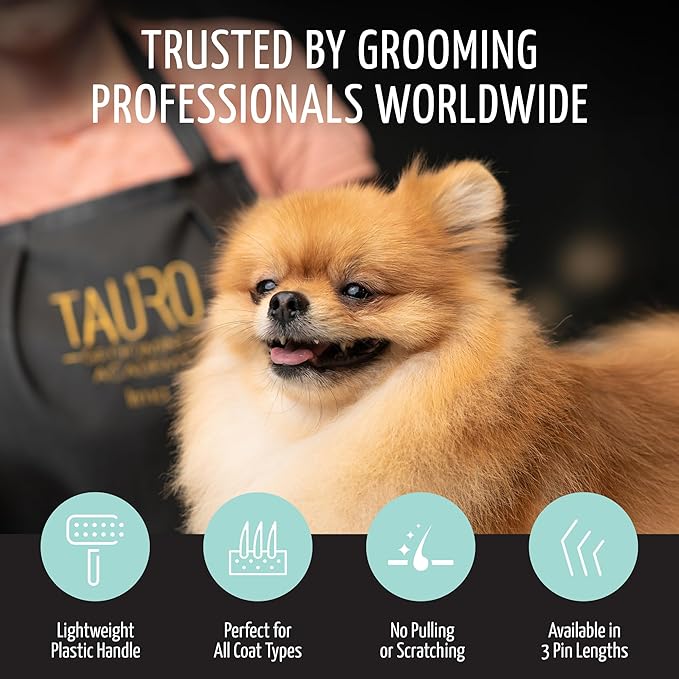 Tauro Pro Line Slicker Dog Brush for Shedding - Detangler for Curly, Long Hair & Undercoat - Pet Slicker Brush for Poodle, Doodle Dogs & Cat Grooming, Non-Slip Grip, Hard Pin (Size L - Mint)