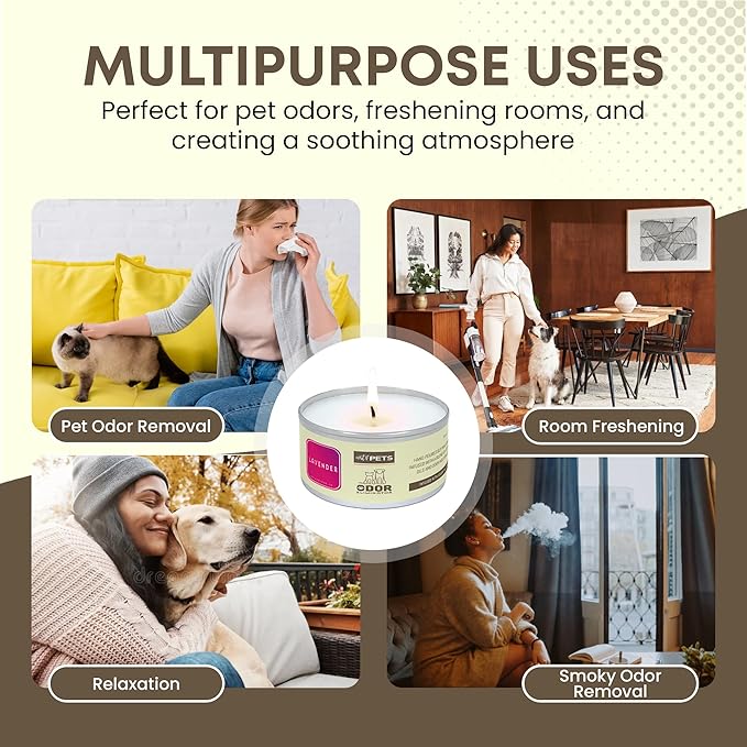 Pet Odor Candle for Dogs and Cats Long-Lasting 72-Hour, Odor Eliminating Candles Burn Natural Soy Wax with Refreshing Scent, Scented Candle to Remove Pet Smells (Lavender)