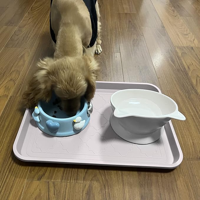 Boot Tray and Multi-Purpose Mat, 2 Packs in 16.7"x12.8", Waterproof, Raised Edge for Boots, Shoes and Pets Indoor/Outdoor