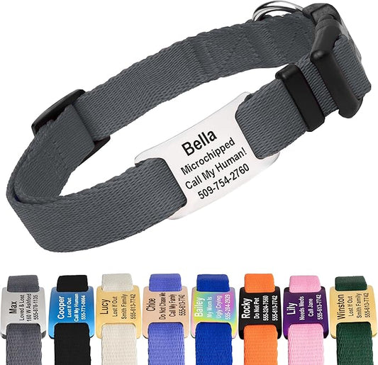 GoTags Personalized Dog Collar with Nameplate, Adjustable Dog Collar with Custom Engraved Slide On Pet ID Tag in Stainless Steel, Silent, No Noise Dog Tag (Charcoal, Medium)