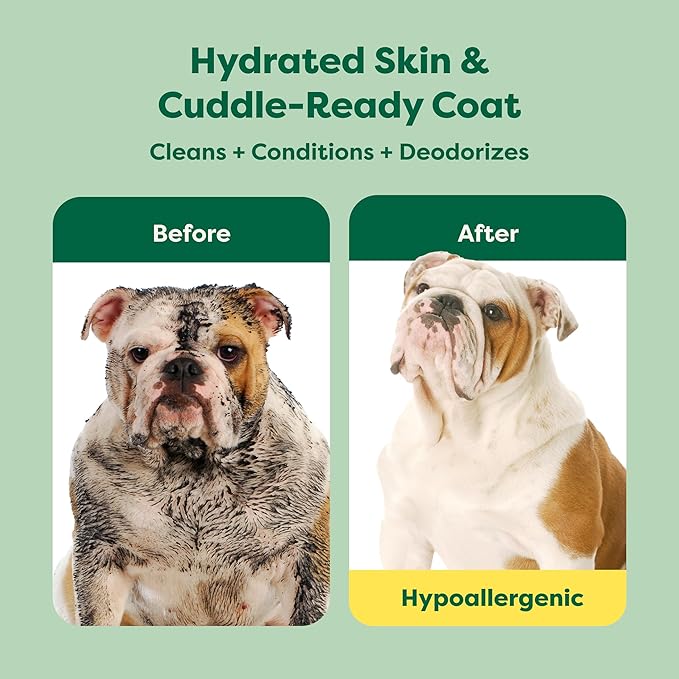 Earth Rated 3-in-1 Soothing Dog Shampoo and Conditioner, Deodorizing Oatmeal Shampoos for Dogs and Puppies, Great for Smelly Pets, White Tea and Basil Scent, 16 oz