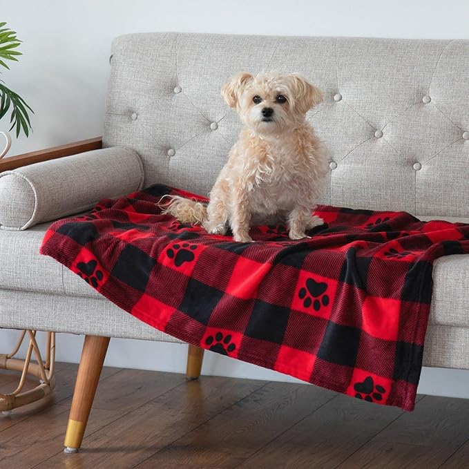 Pet Dog Cat Blanket Ultra Soft Cozy Fleece Paw Print Design Machine Washable Durable for Crates Beds Sofas Travel (Argyle Paws, Large)