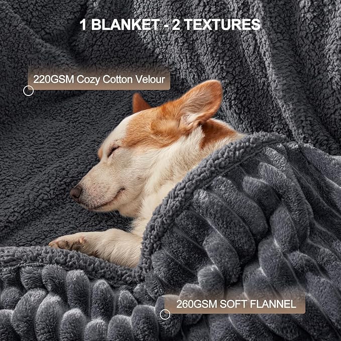 Waterproof Dog Blanket for Medium Dogs, Washable Soft Puppy Cat Blankets Flannel Cotton Velour for Sofa Couch Protector, Comfort & Security Reversible Bed Protection for Pet, 30"X40", Gray