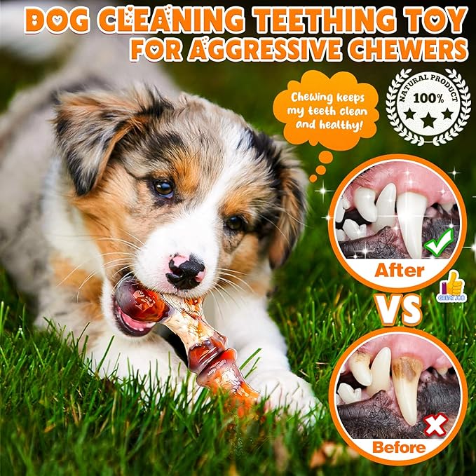 4-Pack Dog Chew Toys for Aggressive Chewers, Indestructible Nylon Bones with Bacon Flavor, Tough Durable Teeth Cleaning Chew Dog Toy for Large Medium Small Breeds