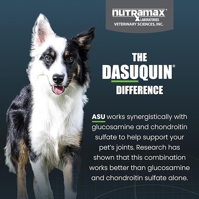 Nutramax Laboratories Dasuquin with MSM Chewables, Small/Medium Dog, 150 Count, White