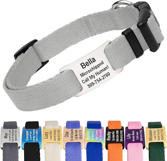 GoTags Personalized Dog Collar with Nameplate, Adjustable Dog Collar with Custom Engraved Slide On Pet ID Tag in Stainless Steel, Silent, No Noise Dog Tag (Light Gray, Large)
