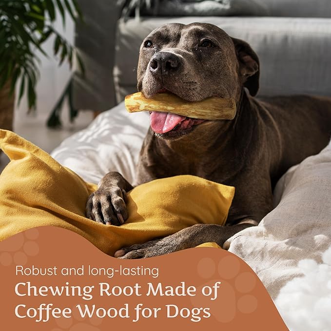 Wildfang® Coffee Wood Dog Chew, Large - Tough Chew Toys for Aggressive Chewers, Dog Teething Toys for Puppies, Training for Chewing Muscles, Coffee Tree Sticks for Large Dogs (55-99 lbs), Pack of 3