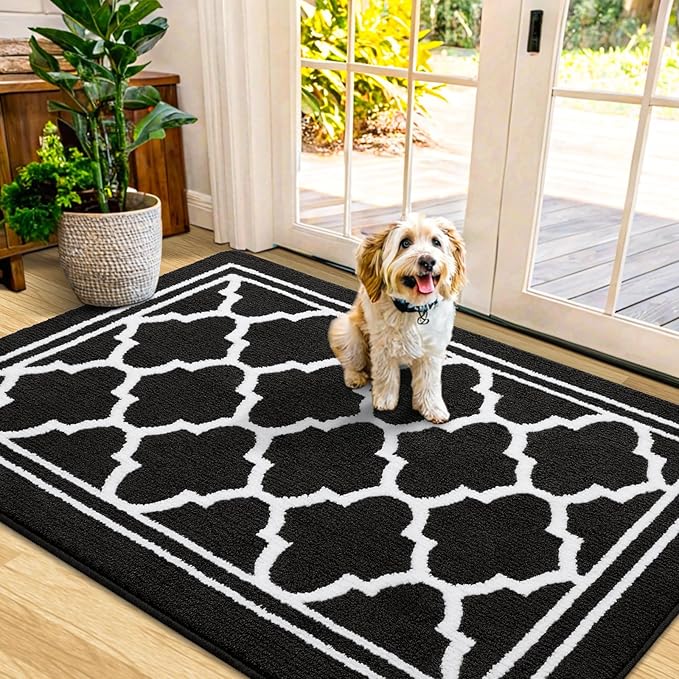 Buganda Indoor Door Mat, Dirt-Resistant and Absorbent Doormat, Anti-Slip, Low Profile Floor Mats for Inside Entryway, Front, and Back Door Entrance (40x32 Inches, Black)