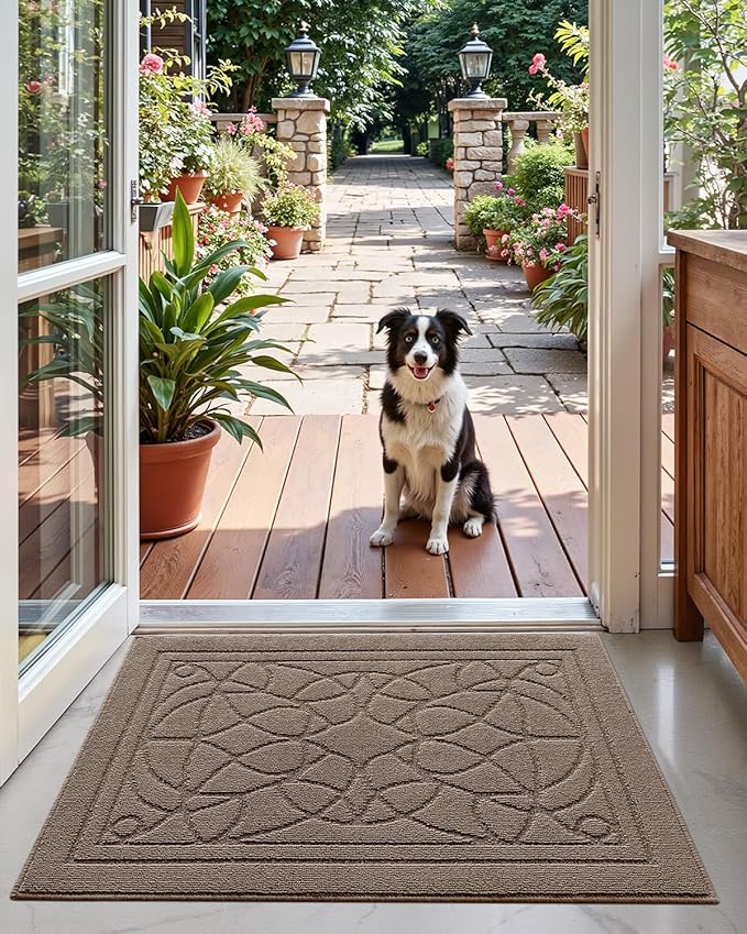 DEXI Front Entryway Door Mat Non Slip 32x48, Washable Inside Entry Way Mats Low Profile Entrance, Welcome Dirt Trapper Doormat Thin for House Floor Home Porter Hall Backdoor Area, Beige
