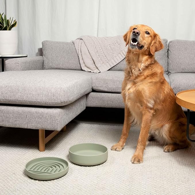 Should We Go? The Perfect Dish No-Spill Dog Water Bowl, Less Mess Non-Tippable Water & Food Bowl, Pure Silicone with Suction Cup, Fits 5 Cups 7.5" Across x 2.25" Tall, Ideal for All Pets, Medium-Sand