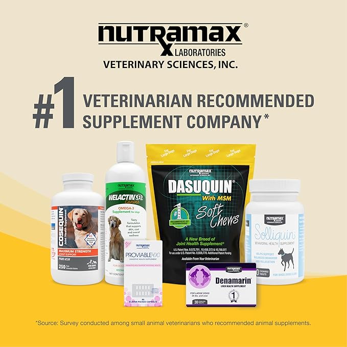 Nutramax Laboratories Dasuquin with MSM Chewable Tablets For Small/Medium Dog
