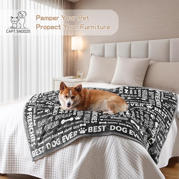 CAPT.SNOOZE Waterproof Dog Blankets Pet Blanket, 30"x40" Cat Blanket for Indoor Cats, Soft Fluffy Sofa Car Bed Protector, Reversible Sherpa Fleece Puppy Blanket for Small Medium Dogs(Letters)