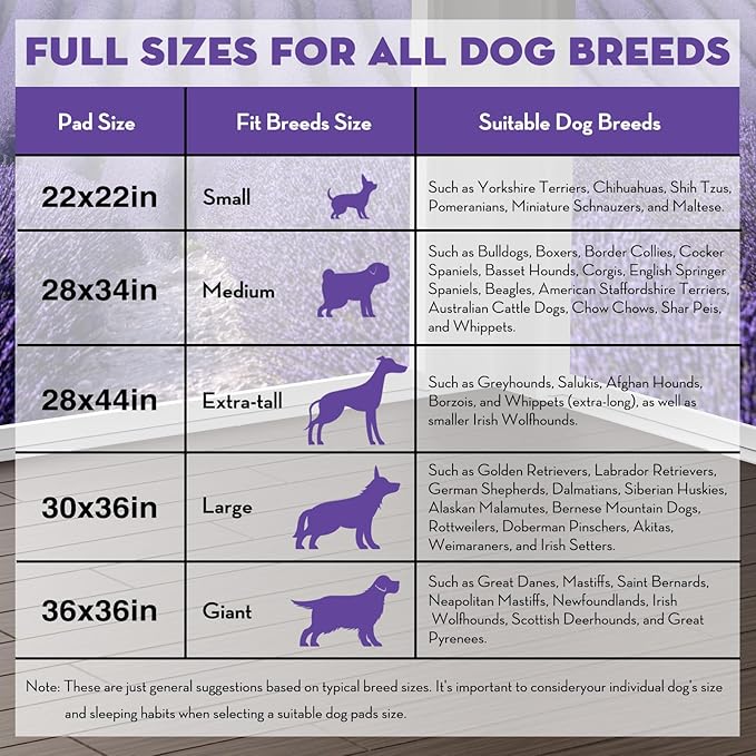 CROCI Puppy Pads 22x22in Small with Adhesive Tabs, Dog Pee Pads Absorbs Up to 3 Cups Potty Training, Disposable (50 Counts)
