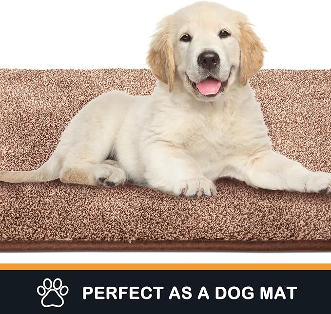PURRUGS Dirt Trapping Door Mat 31.5" x 47", Non-Slip Machine Washable Entryway Rug, Dog Doormat, Indoor Front Door Mat, Super Absorbent Entry Rug for Muddy Shoes & Paws, Brown-Light Cream