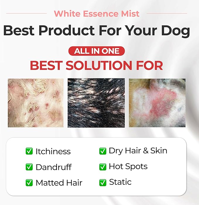 JAYU PET White Essence Mist - Dog Itch Relief, Hypoallergenic Soothing Spray, Dandruff & Dry Skin Spray (5.8fl oz, 170ml)