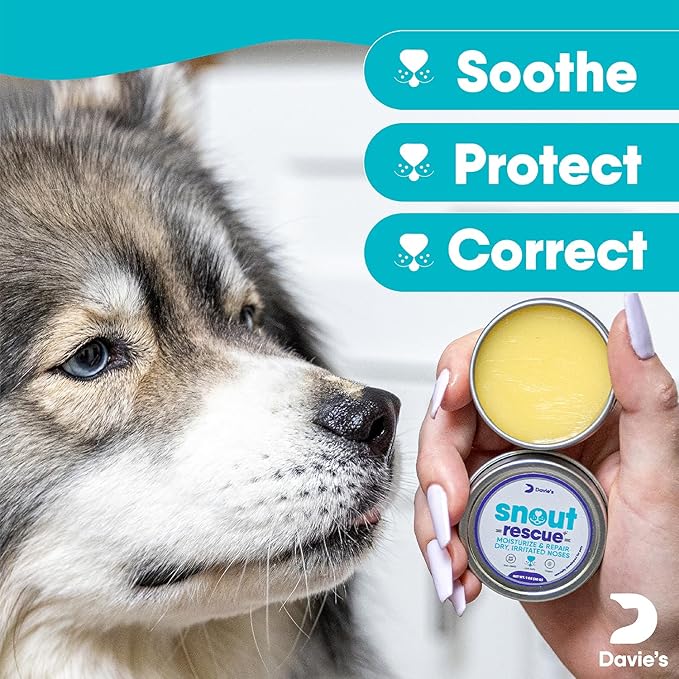 Davie's Snout Rescue - Dog Nose Balm for Dry Nose, All-Natural Dog Paw Balm Pad, Paw Balm Dogs Lick Safe, Snout Soother for Dogs and Cats, Paw Soother for Dogs, Made in USA - 1oz