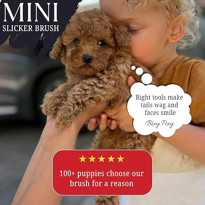 Bixy Pixy Mini Brush for Dogs and Cats - Coated Tips Massage Skin - Long Pins Remove Mats, Tangles in Long and Poodle Fur