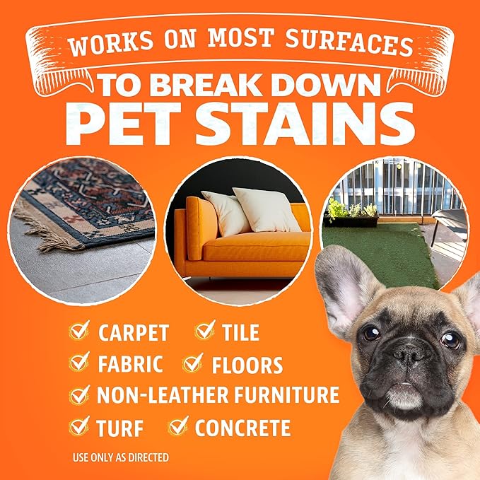 ANGRY ORANGE Pet Stain & Odor Remover Kit for Dog Urine - Enzyme Cleaner - Citrus - 32 oz + UV Flashlight