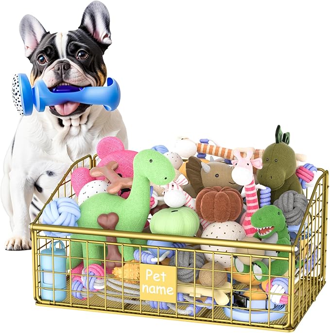 Indestructible Dog Toy basket, Medium Toy Box for Dogs,Pet Toy Bin Dog Metal Basket for Toys, Toy Storage Organizer, Toy Box for Living Room Area (Gold)
